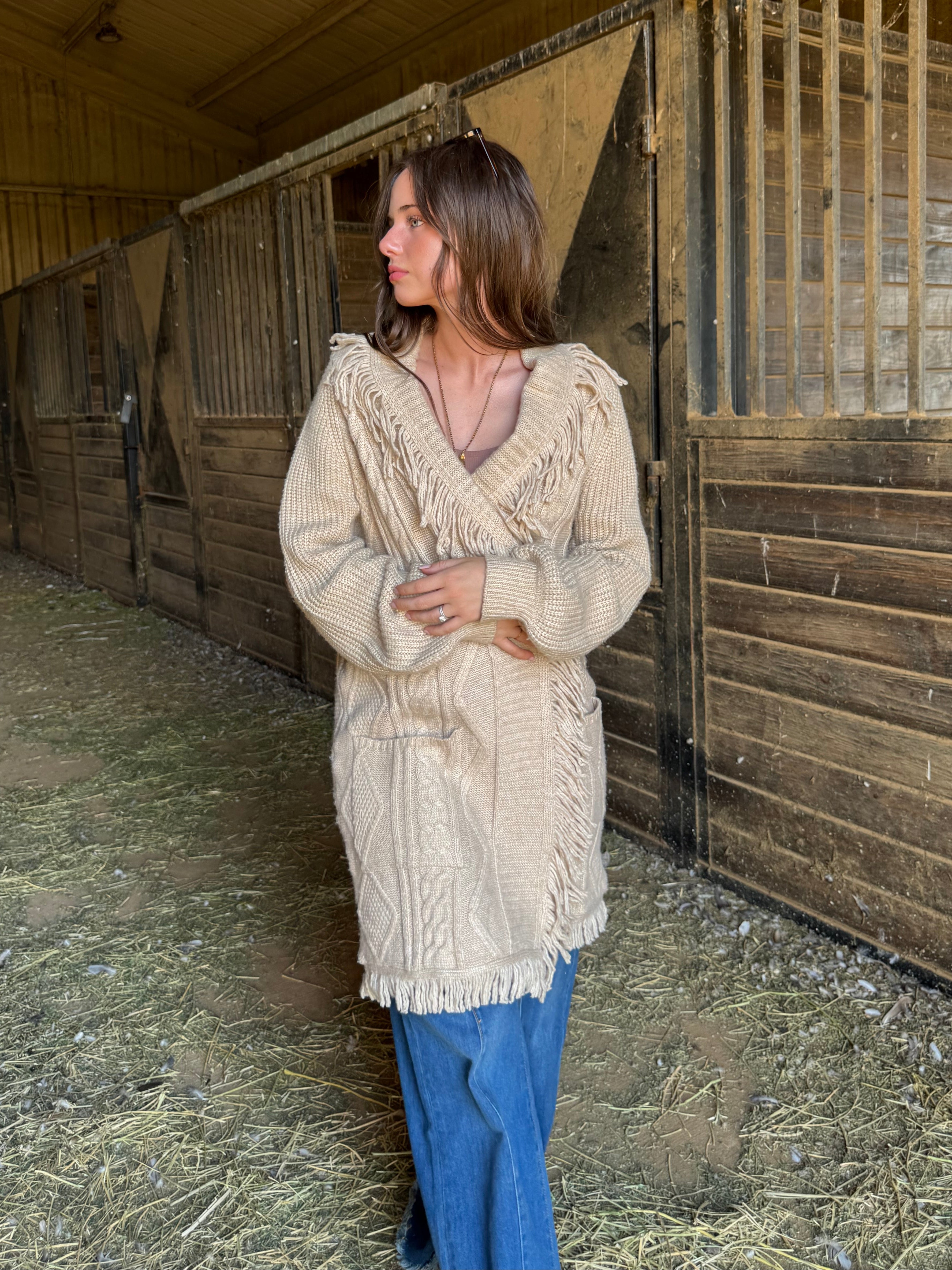 western chic fringe sweater cardigan